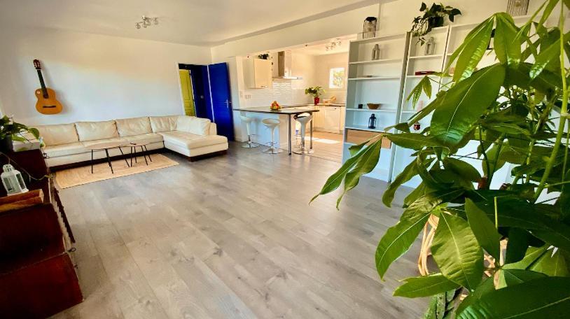 Bénesse-Maremne Sewa Surf House 10Min De Capbreton Hossegor酒店 外观 照片