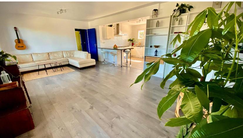 Bénesse-Maremne Sewa Surf House 10Min De Capbreton Hossegor酒店 外观 照片